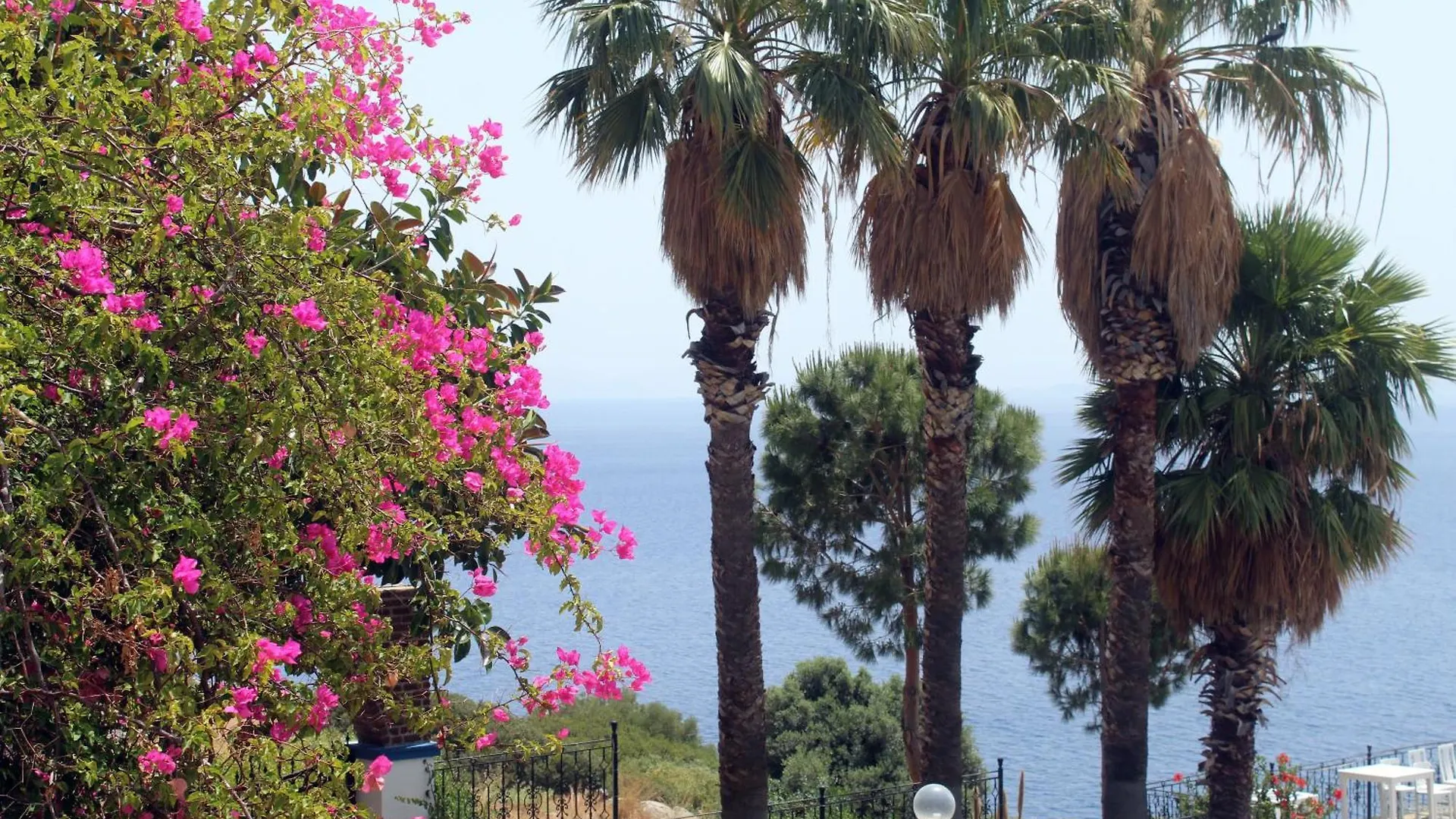 Datça Villa Carla Hotel Türkiye
